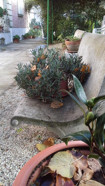 Villa Maria Bed & Breakfast, Corridonia, Marche Zewnętrze zdjęcie