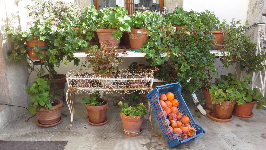 Villa Maria Bed & Breakfast, Corridonia, Marche Zewnętrze zdjęcie