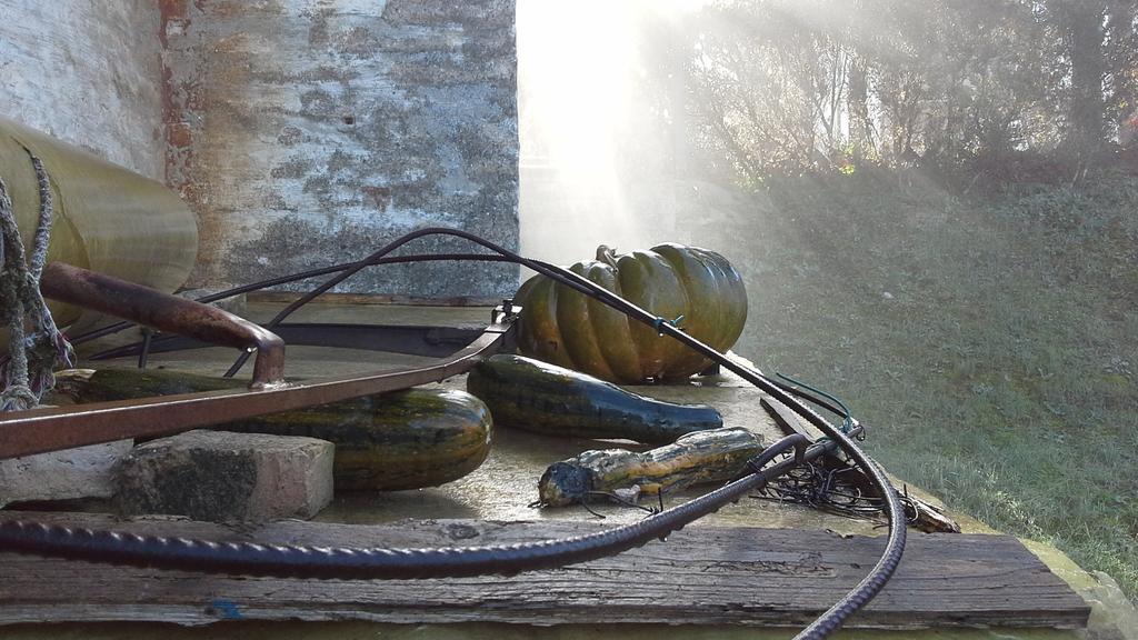 Villa Maria Bed & Breakfast, Corridonia, Marche Zewnętrze zdjęcie